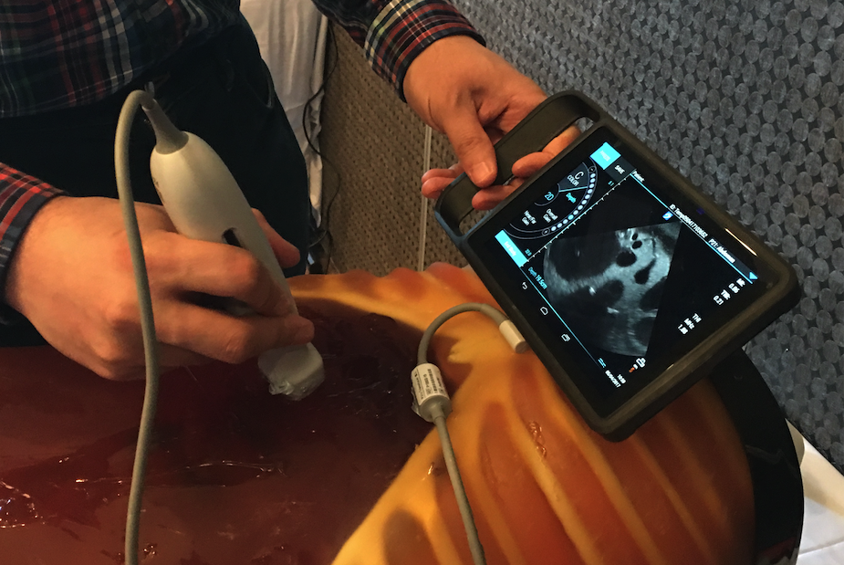 Basic Emergency Ultrasound – Safeguard Medical